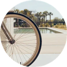 Bike Rentals